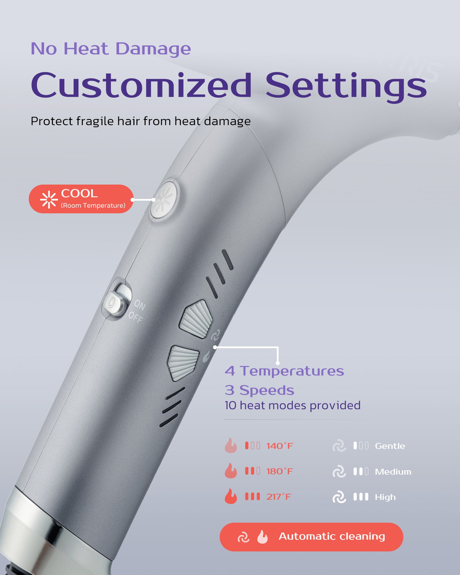 BlitzFlow High-Speed Ionic Hair Dryer